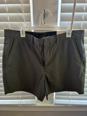 American Eagle Outfitters Grey Performance Flat-Front Shorts